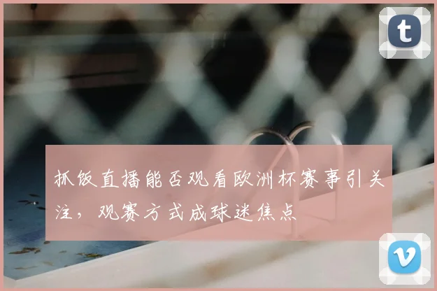 抓饭直播能否观看欧洲杯赛事引关注,观赛方式成球迷焦点