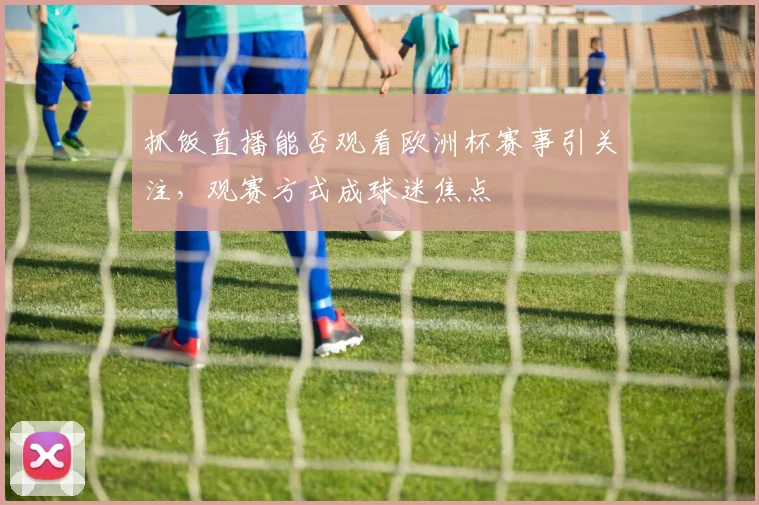 抓饭直播能否观看欧洲杯赛事引关注，观赛方式成球迷焦点