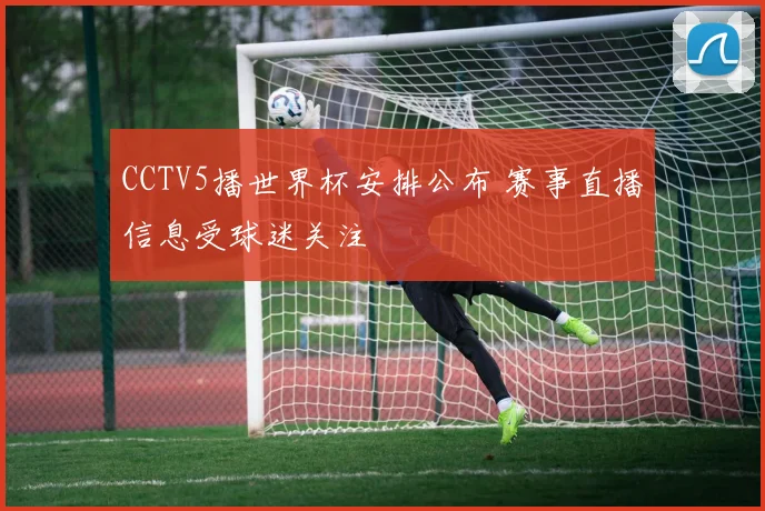 CCTV5播世界杯安排公布 赛事直播信息受球迷关注