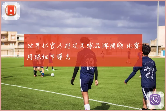 世界杯官方指定足球品牌揭晓 比赛用球细节曝光