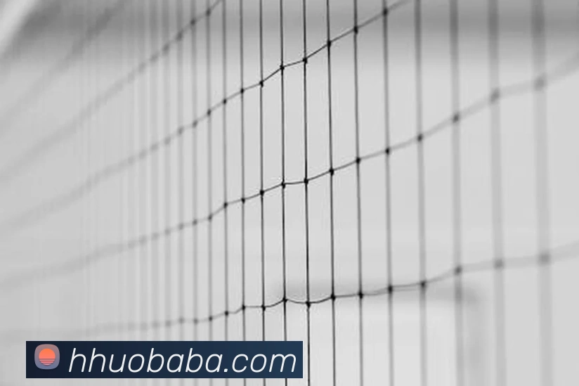 球赛押注app官网服务体系